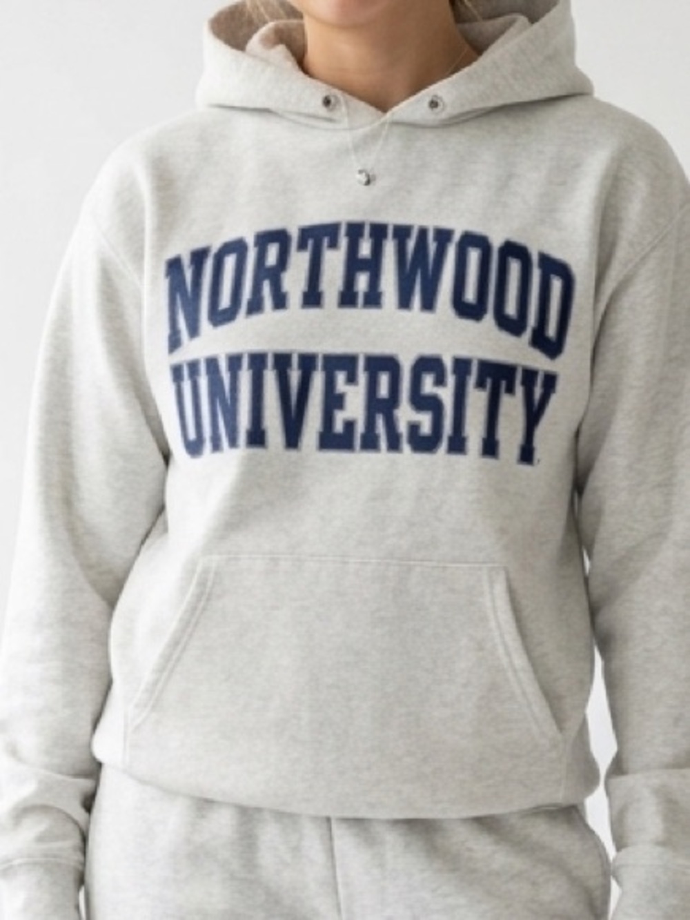 Champion Northwood University Cream Hoodie Sweatshirt Large